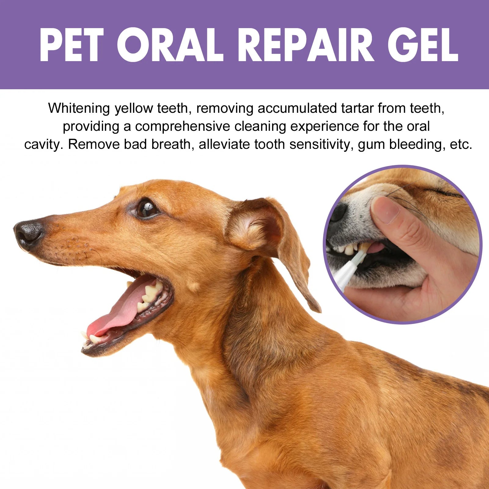 Pet Oral Repair Gel Puppy Tartar Removal Odor Eliminator Whiten Cats Dogs Teeth Stain Remover Gum Care Pet Teeth Cleaning Gel Qme