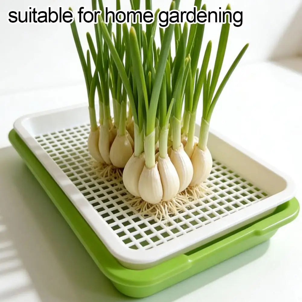Soilless Planting Seedling Tray Seed Sprouter Germination Growing Qme