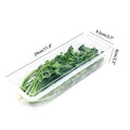 Storage Crisper Sealed Fridge Organiser Refrigerator Boxes Scallions Qme 1PCS