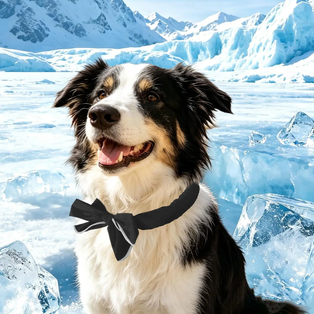 Cooling Scarf Dogs Reusable Washable Neck Wrap Outdoor Pet Cat Ice Qme