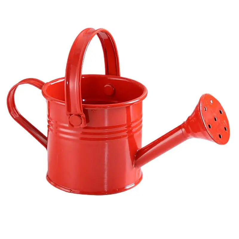 New Metal Watering Can Garden Flower Kettle Mini Small Water Spraying Pot Large Capacity For Kids Adult Qme A6