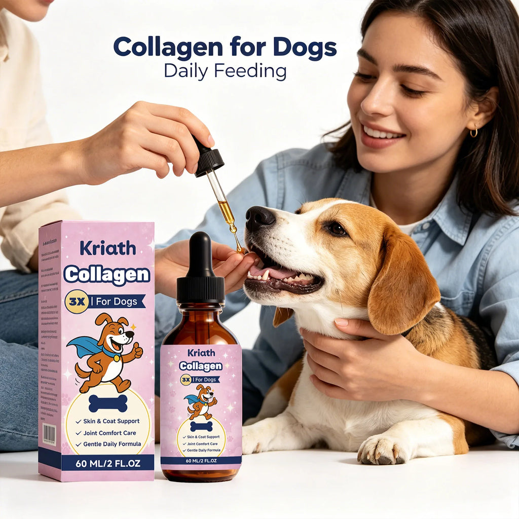 Dog Collagen Liquid Drops Enhance Joint Flexibility Strengthen Bone Improve Skin Condition Gentle Pet Daily Nutrients Supplement Qme