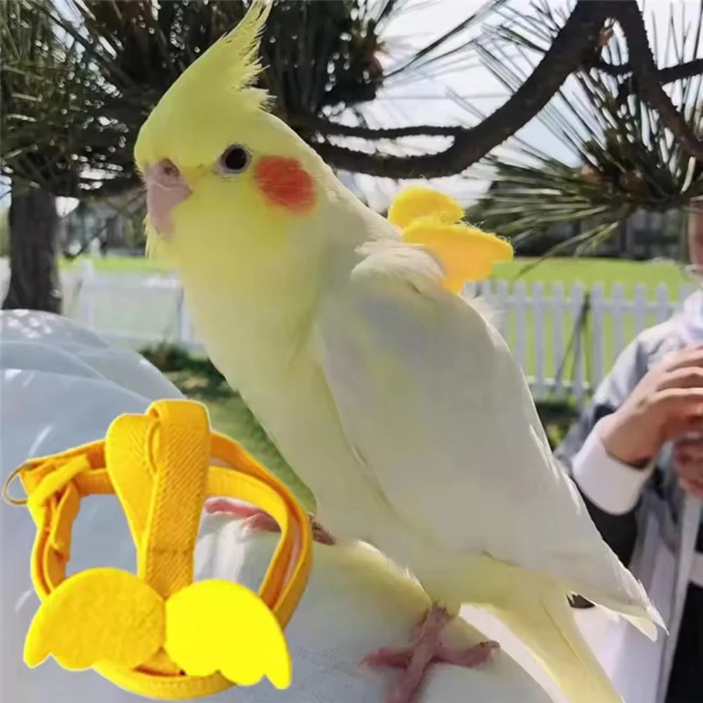 Random Adjustable Parrot Bird Harness Leash Set Anti-bite Training Harness Parrots Outdoor Flying Rope Cockatiel Bird Supplies Qme