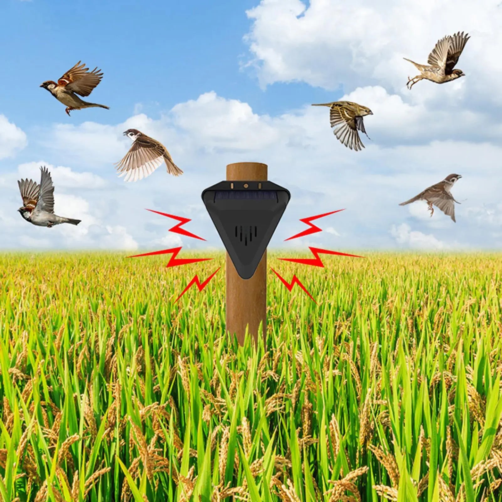 Animal Repeller Hang Animal Repeller Outdoor Waterproof Bird Repellents Outdoor Animal Deterrents with 13 Modes Sound Playback Qme