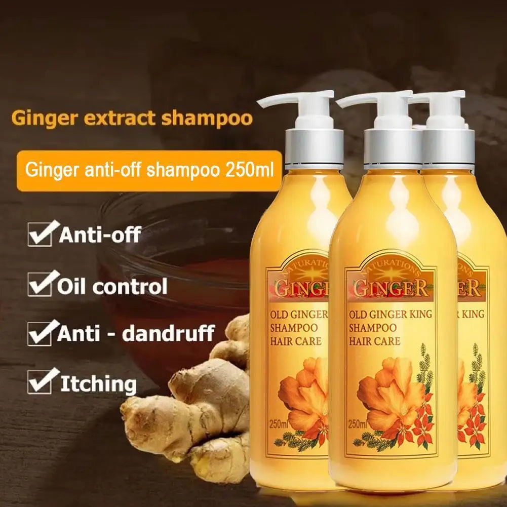 250ml Old Ginger Juice Hair Shampoo Professional Hair Scalp Treatment Oil Control Dense Anti Hair Loss Qme