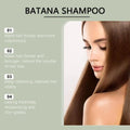 Hair Growth Rosemary Shampoo Stronger Healthier Nourishing Qme Default Title