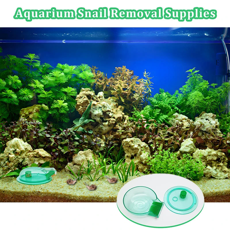 Aquarium Snail Trap, Plastic Snail Catcher For Freshwater Fish Tank Green Snail Catch Box. Qme