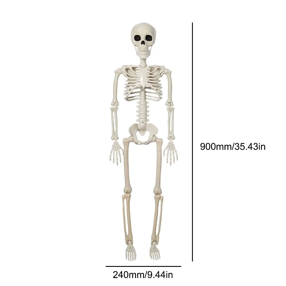 1pc Halloween Decorations Skeleton,Posable Human Shape Skeleton,Halloween Fake Bone Horror Decoration Qme