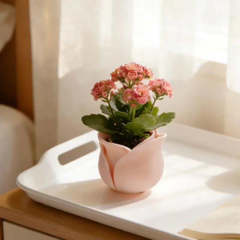Daily Gardening Home Decoration Flowerpots Rose Shape Succulent Basin Qme