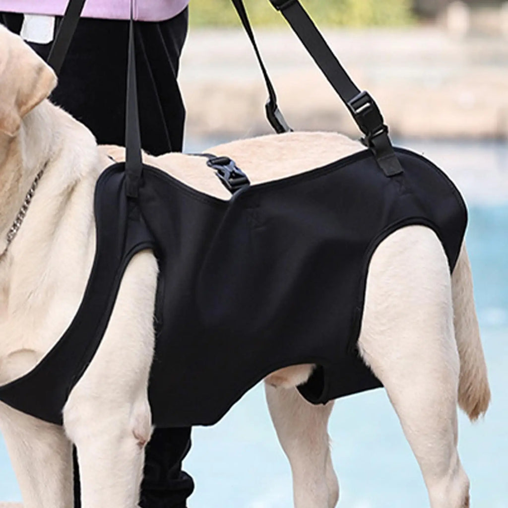 Pet Rehabilitation Sling Pet Support Harness Puppy Rehabilitation Lift Vest Adjustable Strap Thicken Handle For Joint Injuries Qme