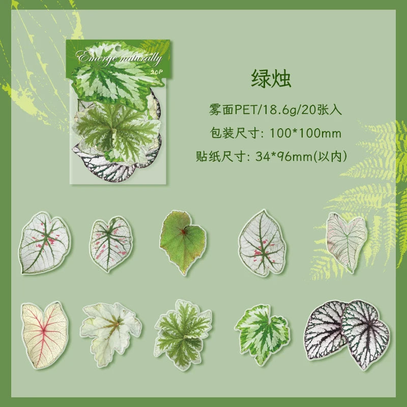20 pcs Plants Flowers Leaf PET Sticker pack Hand Account Collage Junk Journal Planner Scrapbooking Decor Stationery Stickers Qme C