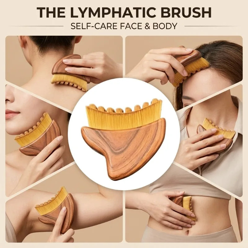 Portable Lymphatic Contour Face Brush Facial Sculpting Drainage Tools Qme