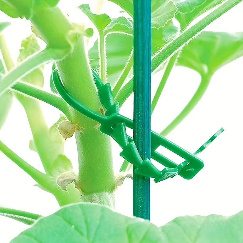 1 pack of 50 green garden zip ties, gardening zip ties can be reused Qme green