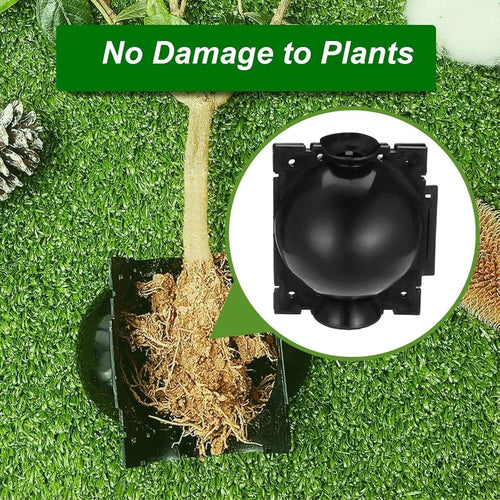 10PCS Plant Root Growing Ball Reusable Plants Rooting Ball Reproduction Device Garden Cuttings Grafting Rooting Propagation Ball Qme