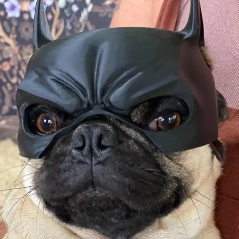 Dog Bat Cool Man Mask Avenger Cute Superhero Toys Halloween Costume Qme