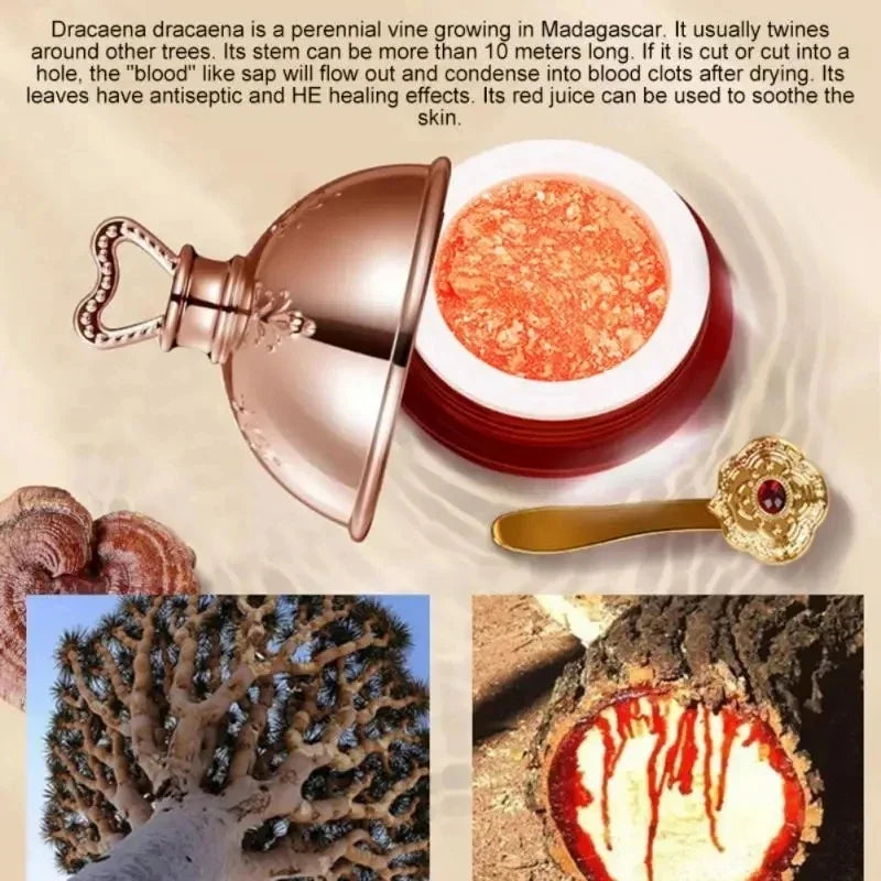 Dragon's Blood Face Cream Retinol Placenta Essence Brightening Lift Firming Skin Care Korean Cosmetics Qme