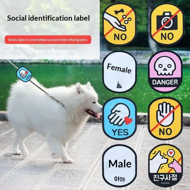 Anti Feeding Warning Sign Pet Gatherings Outingspet Dog Social Qme