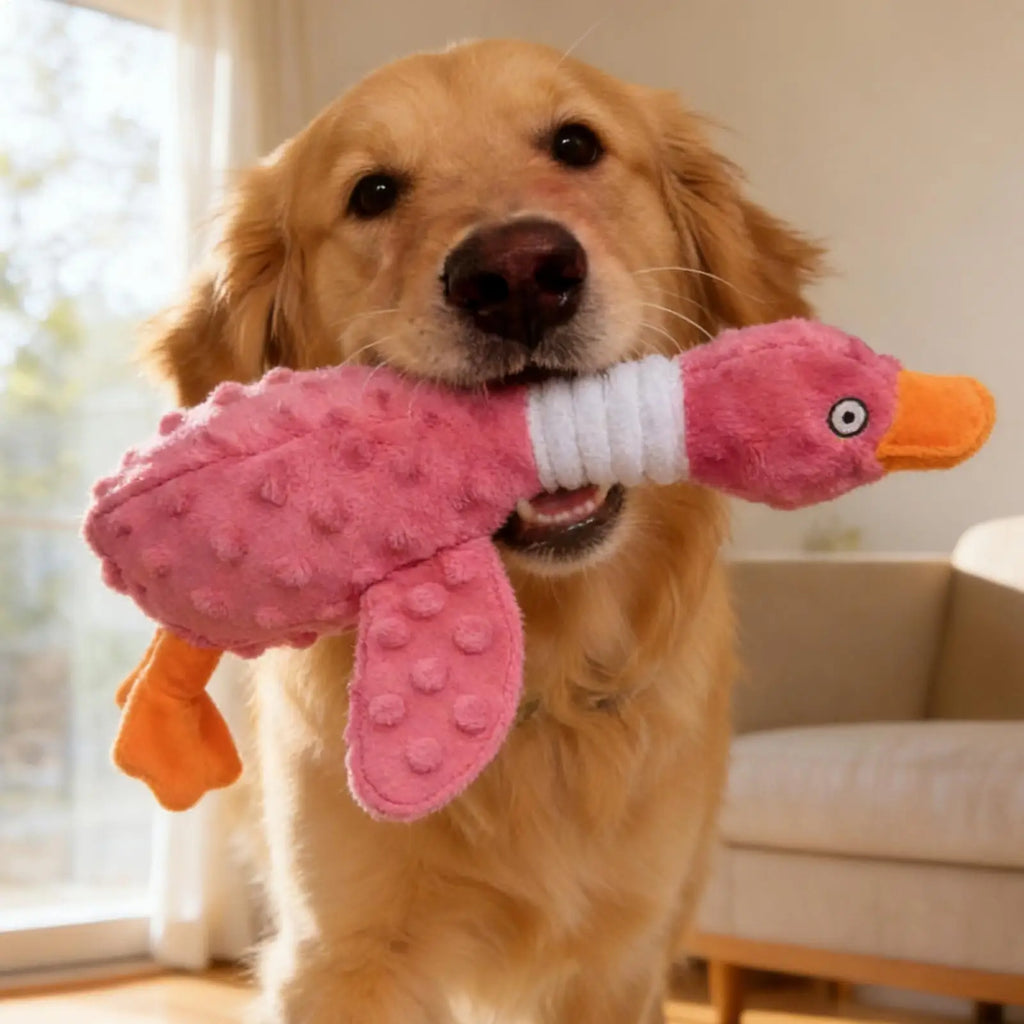 Aggressive Dog Chew Toys Interactive Squeaky Entertainment Companion Qme