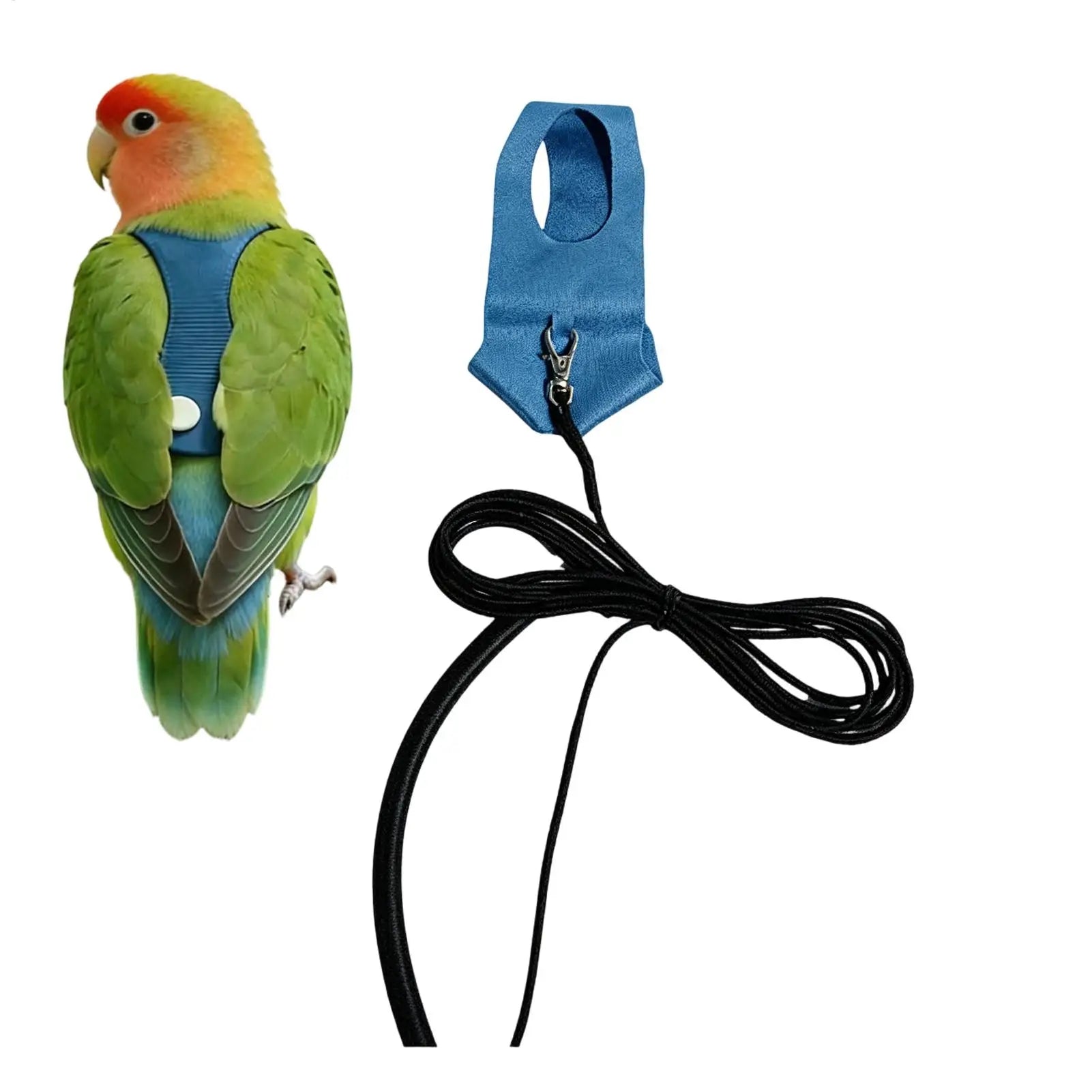 Bird Harness Parakeet Traction Straps Bird Flying Training Rope Kit for Animal Lovers Trainers Walking Backyard Park Vet Visit Qme