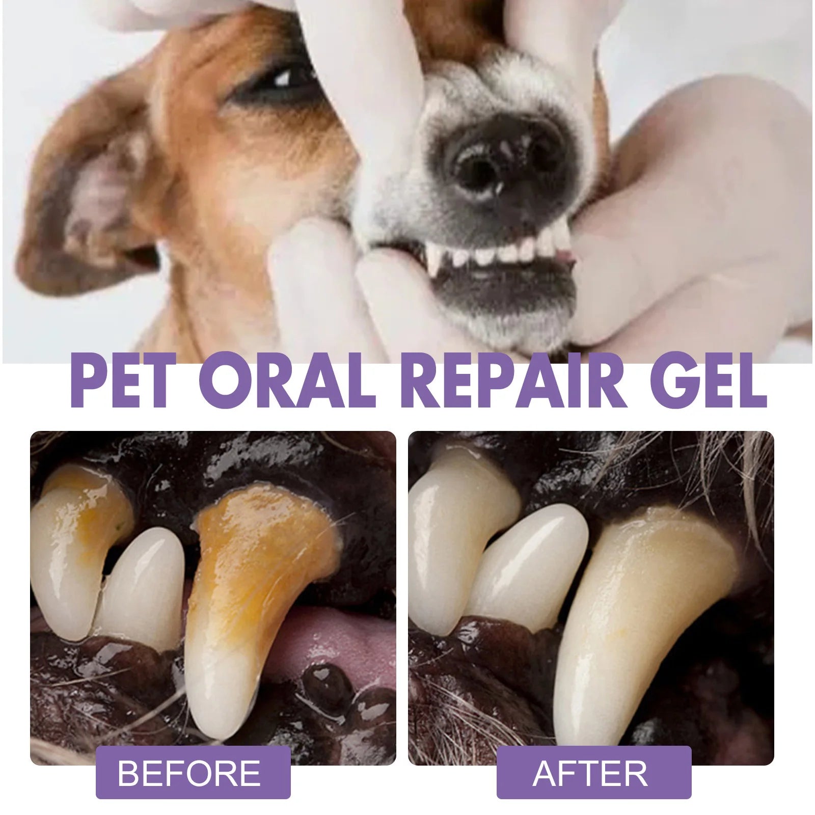 Pet Oral Repair Gel Puppy Tartar Removal Odor Eliminator Whiten Cats Dogs Teeth Stain Remover Gum Care Pet Teeth Cleaning Gel Qme
