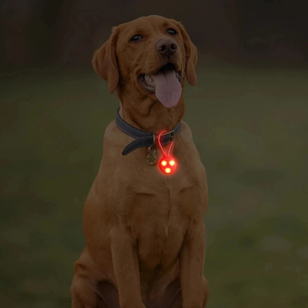 Outdoor Backpack Lights Silicone LED Night Running Warning Light Camping Riding Wind Rope Light Travel Equipment Tool Safety Qme