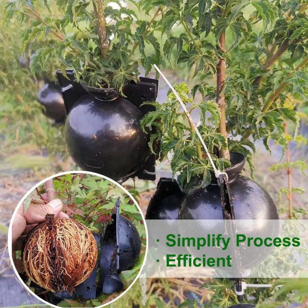 10PCS Plant Root Growing Ball Reusable Plants Rooting Ball Reproduction Device Garden Cuttings Grafting Rooting Propagation Ball Qme