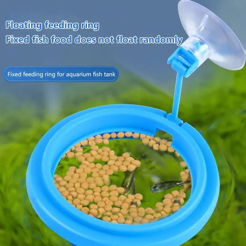 1 Feeding Ring Prevent Food Dispersion Fish Pinch Suction Cup Tank Qme