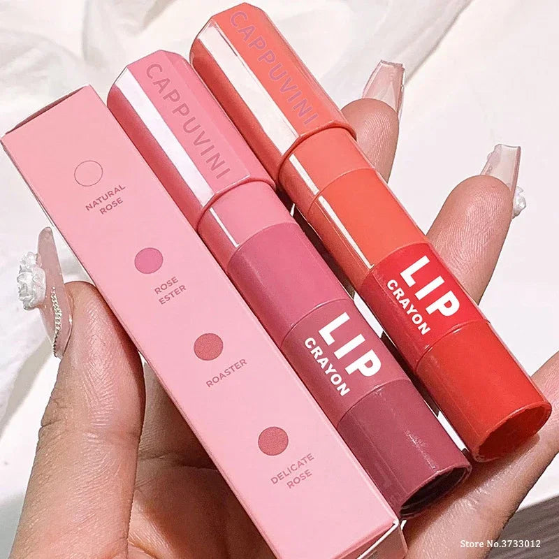 Mini Lipstick Set Matte 4 Colors Lipstick Combination 4 Sections Velvet Grapefruit Red Lip Pigment Non-stick Cup Lip Gloss kit Qme