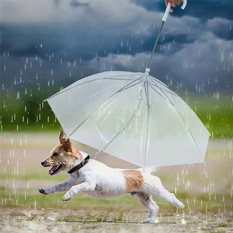Small transparent dog umbrella, anti transparent dog umbrella towing strap, metal chain dog outdoor rain gear Qme