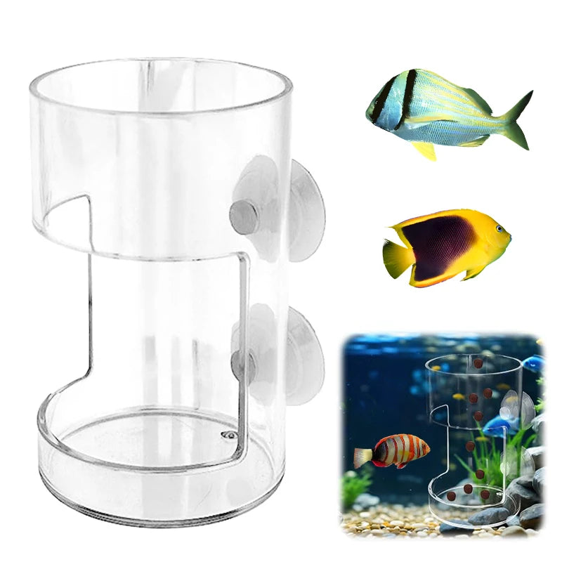 1Pc Fish Feeder For Aquarium 2025 New Fish Tank Dish Tray With Suction Cup Acrylic Fish Food Holder Fish Feeding Tube. Qme Clear 1PC circle