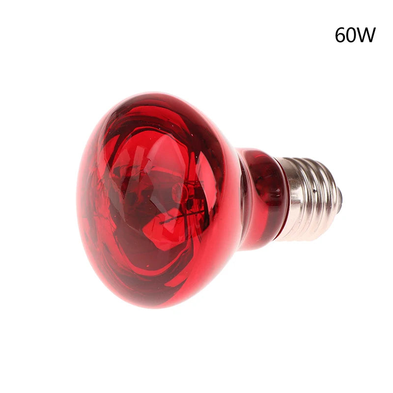 25 40 50 60 75 100W E27 UVA Poultry Bulb Infrared Night Light Day Qme 60W