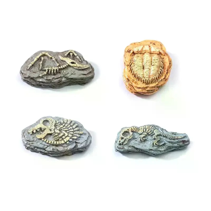 4Pcs Simulation Dinosaur Fossil Ornaments Mini Micro Landscape Decor DIY Desktop Craft Accessories Qme