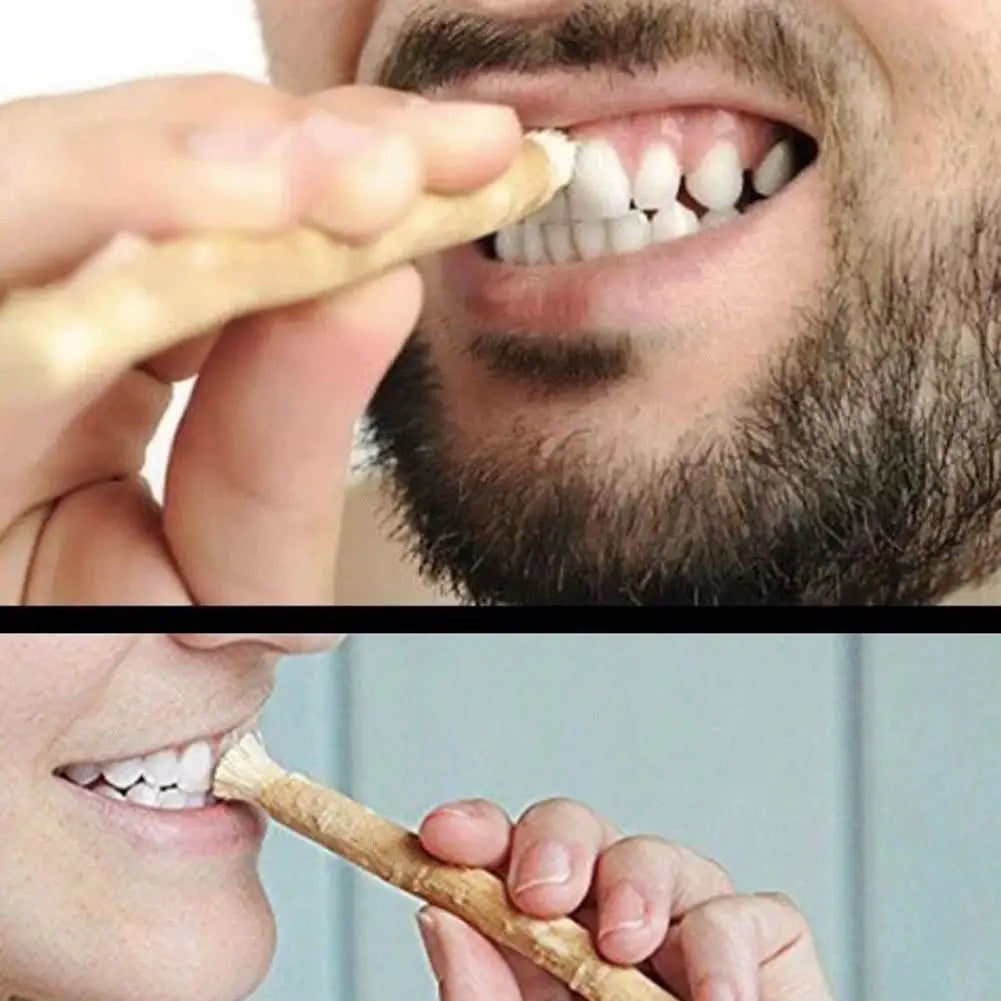 10PCS Miswak Siwak Natural Toothbrush Misvak Traditional Arak Miswaak Teeth Whitener Soft Travel Manual Toothbrus Qme