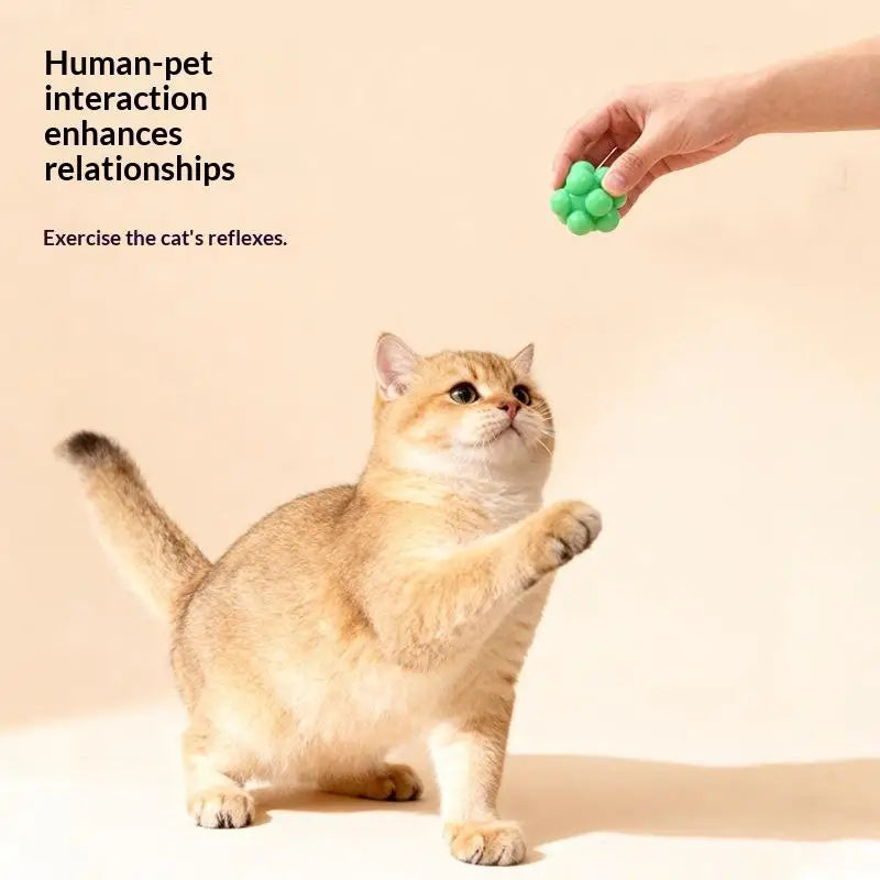 Playing Training Teeth Cleaning Cat Toy Chew Bouncy Ball Elasticity Qme