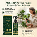 Moonspry Neem Oil Plant Spray Improve Leaf Glossiness Enhance Transparency Advanced Botanical Formula Leaves Nutrient Supplement Qme 3 x 100ML Boxed