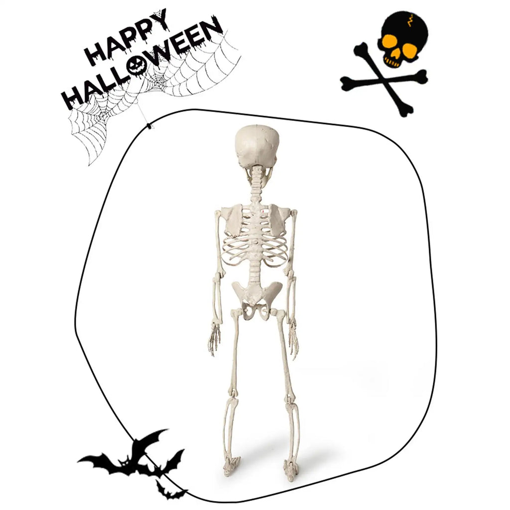 Skeletons Halloween 2ft Outdoor Human Bone Decorations Skull Props Qme
