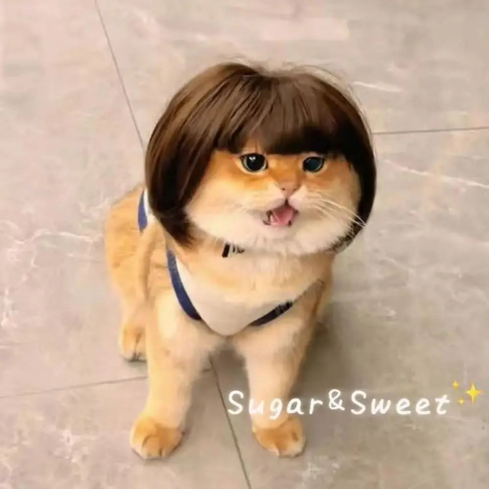 Halloween Pet Wig Fashion Curly Straight Hair Cute Role Play Qme