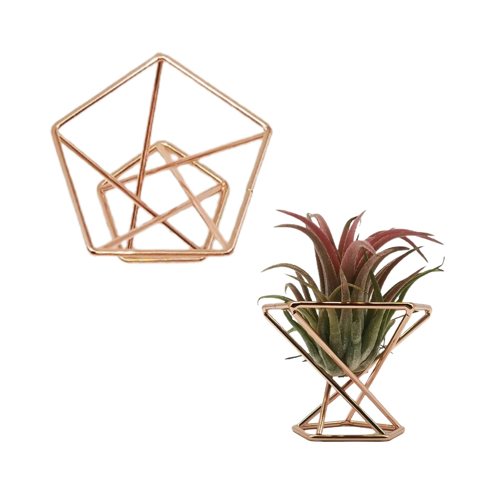 Rose Gold Geometric Air Plant Holder Metal Tillandsia Stand Hollow Display Rack Makeup Sponge Holder Home Desk Decor Qme WHITE