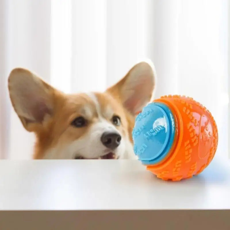 Dog Interactive Supplies Chew Pet Toy Durable Crew Ball Grinding Qme
