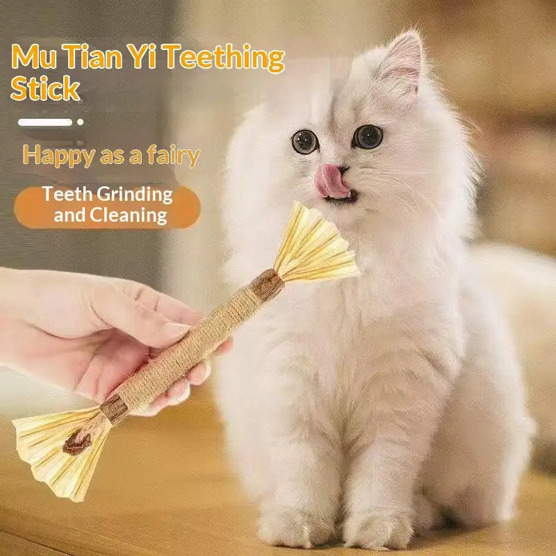 1/2PCS Cat Toys Made Of Wood Sticks Insect Galls Raffia Sisal Rope Teeth Cleaning Toys Cat Teasing Sticks Qme