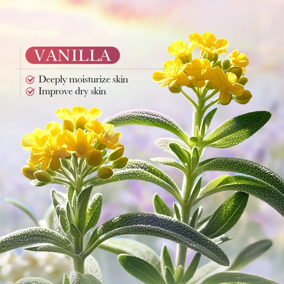 Vanilla Marshmallow Body Lotion Smooths Refines Skin Improves Dryness Qme