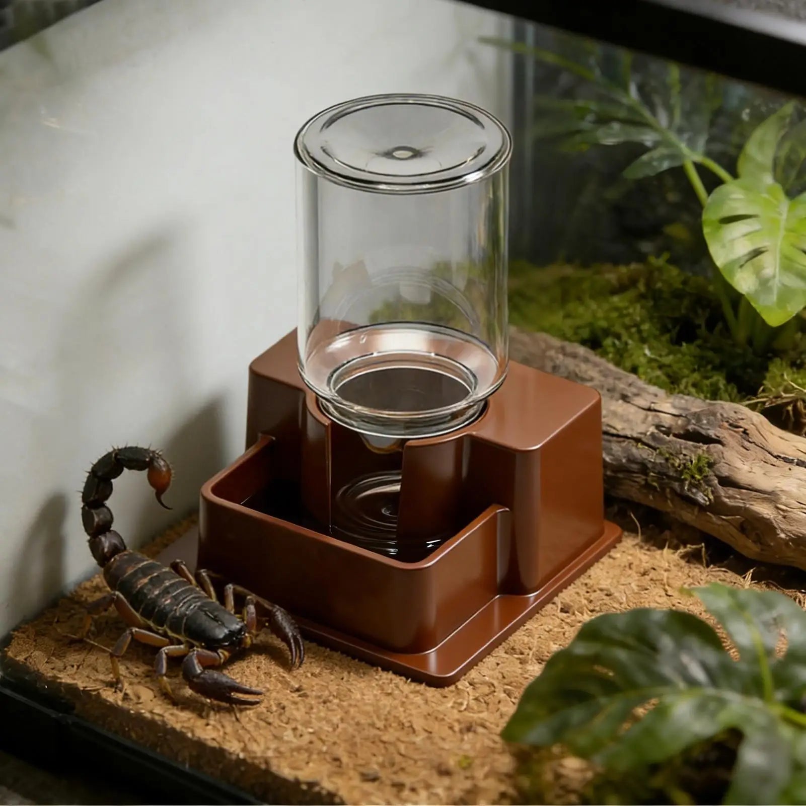 NEW Reptile Water Fountain Reptile Automatic Dish Tortoise Water Dish Gecko Drink Dispenser For Lizard Chameleon Snake Frog Qme