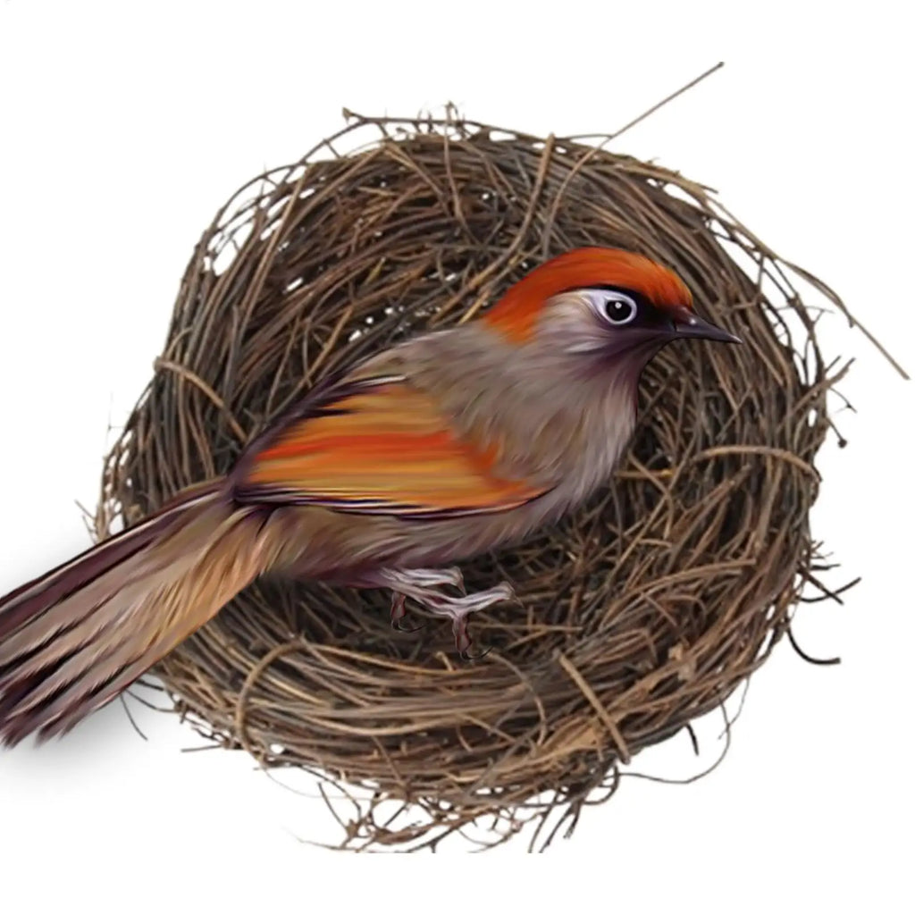 Birds Nest Handmade Woven Parrot Nest Small Animal Bed House For Garden Flat Base Bird Cage Accessories For Parakeet Qme