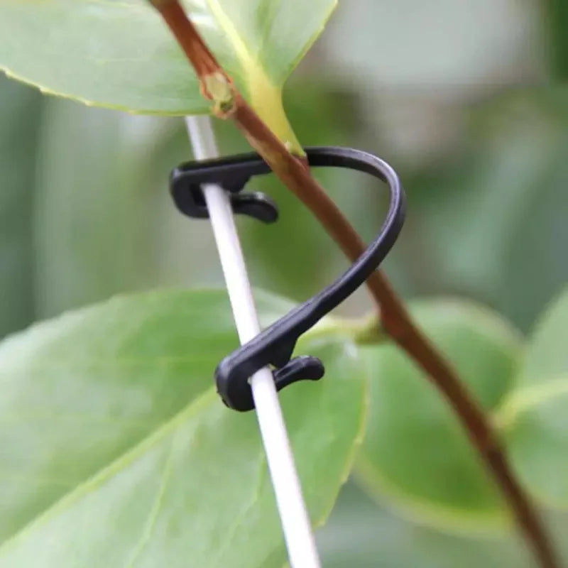 Garden Plant Ties Grapes Vine Binding Tape Adjustable Support Clips Qme 50Pcs