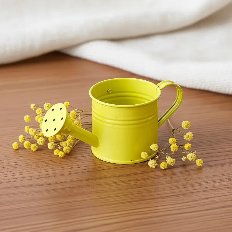 Mini Metal Watering Can Portable Lightweight Water Kettle Outdoor Qme
