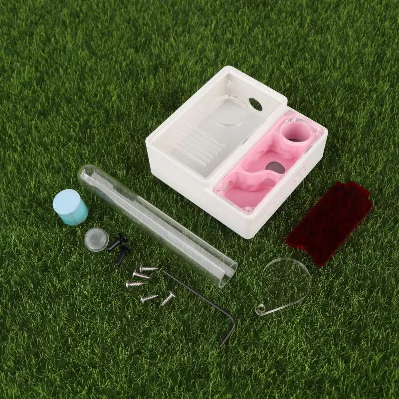 3D Printed Ant Farm Queen Ant's Nest Supplies Beginner Keepers House Qme 02