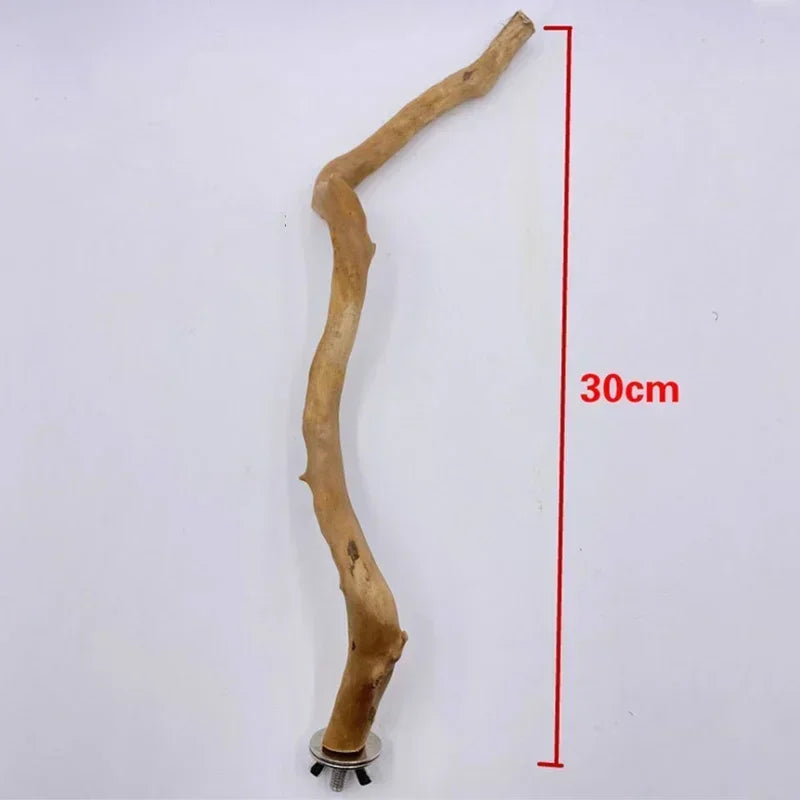 Natural Parrot Perch Bird Stand Tree Stick Paw Grinding Fork Parakeet Qme