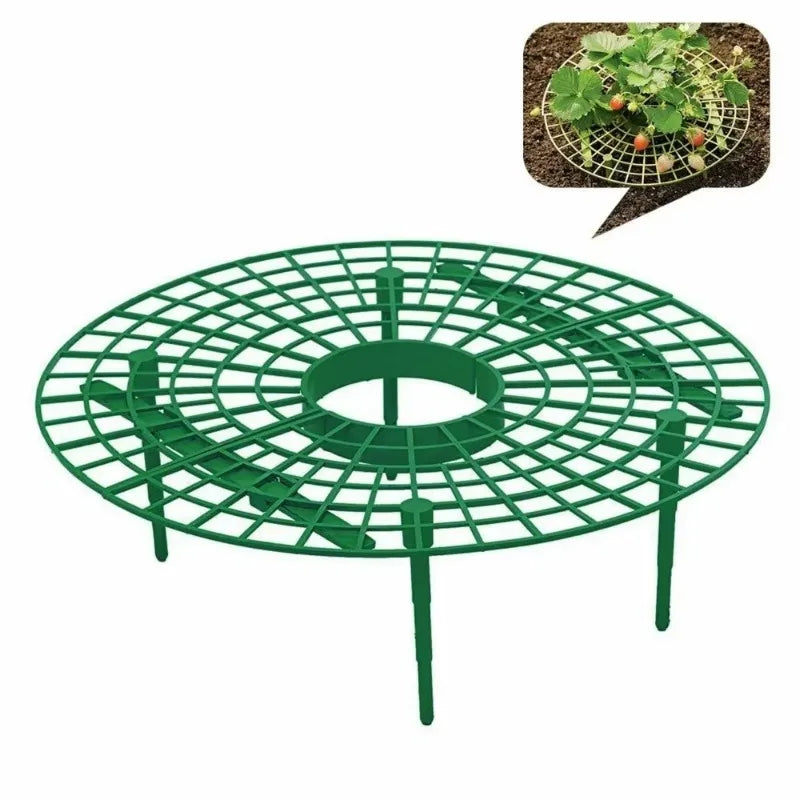 Strawberry Planting Tray Rack Green Plants Anti Lodging Plant Fruit Qme