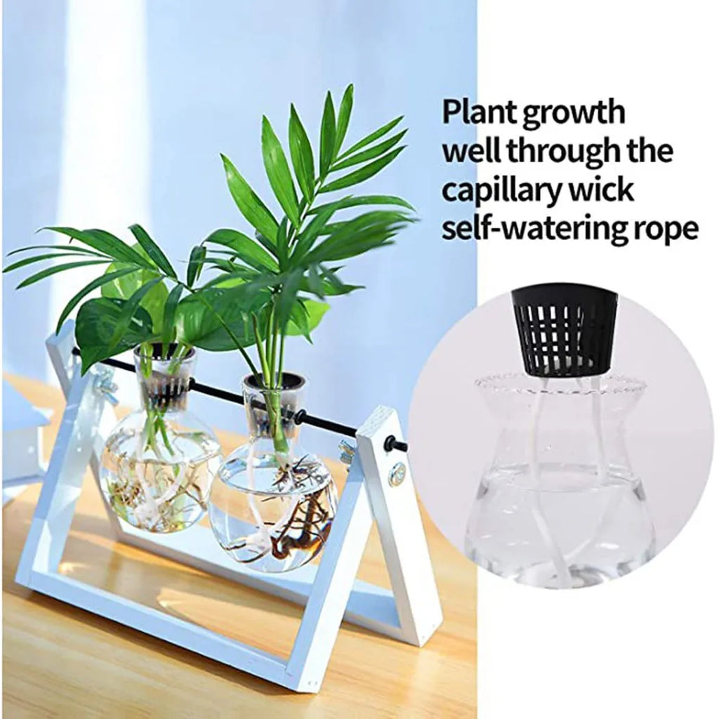 25PCS Hydroponic Pot Net Cup Hydroponic Soilless Mesh Net Basket Plant Veg Grow Nursery Cup Pot Garden Plant Basket Qme