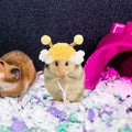 Festive Pet Hat for Hamster Parrot Rabbit Tiny Animals New Year Celebration Handmade Knit Headwear Adorable Photo Qme Default Title